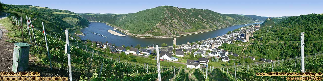 Weinwanderung in Oberwesel am Rhein Mittelrhein zwischen Bingen, Loreley, Boppard und Koblenz am Rhein